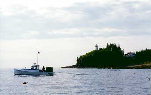 LOBSTERING OFF OWLSHEAD